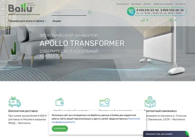 Снимок главной страницы ballushop.ru