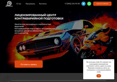 Снимок главной страницы artdrive-nsk.ru