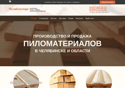 Снимок главной страницы chelles174.ru