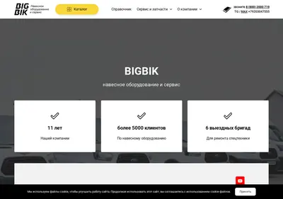 Снимок главной страницы bigbik.ru