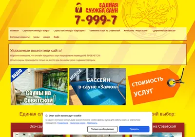 Снимок главной страницы birsauna.ru