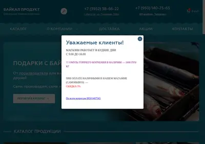 Снимок главной страницы baikpro.ru