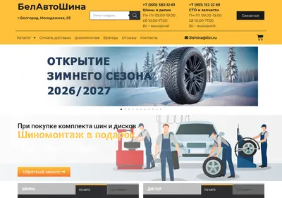 Снимок главной страницы 31shina.ru