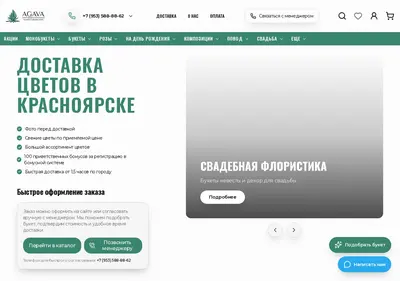 Снимок главной страницы agava24.ru