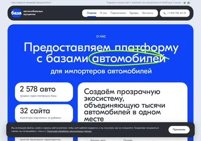 Снимок главной страницы baseauctions.ru