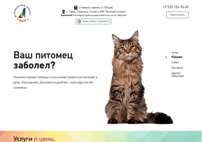 Снимок главной страницы akelavet.ru