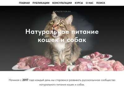 Снимок главной страницы catnutrition.ru