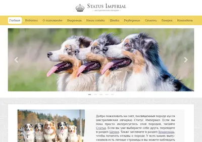 Снимок главной страницы audog.ru