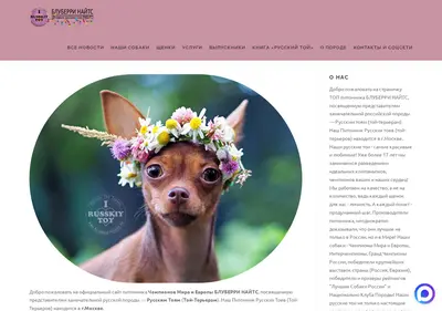 Снимок главной страницы blueberrynights.ru