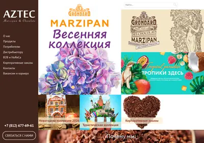 Снимок главной страницы aztecmc.ru