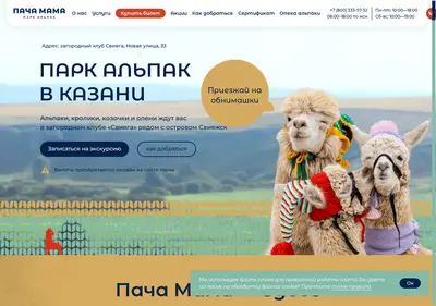 Снимок главной страницы alpakakzn.ru