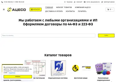 Снимок главной страницы aceso.ru