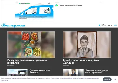 Снимок главной страницы atormyshy.ru
