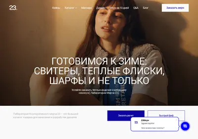 Снимок главной страницы 23merch.ru