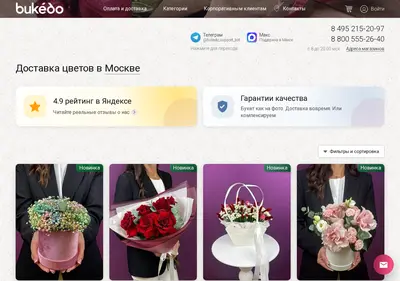Снимок главной страницы bukedo.ru