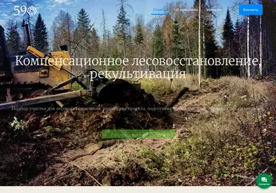 Снимок главной страницы 59les.ru
