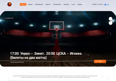 Снимок главной страницы basket-ticket.ru