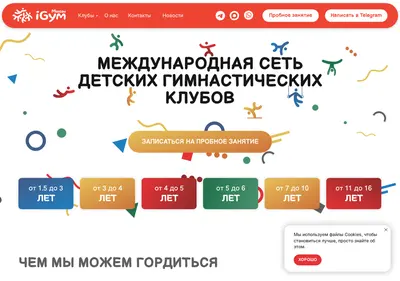Снимок главной страницы igym.su
