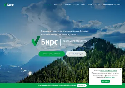 Снимок главной страницы birsagency.ru