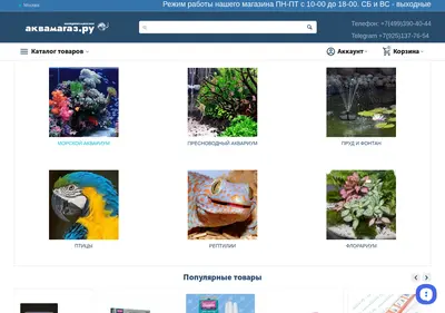 Снимок главной страницы aquamagaz.ru