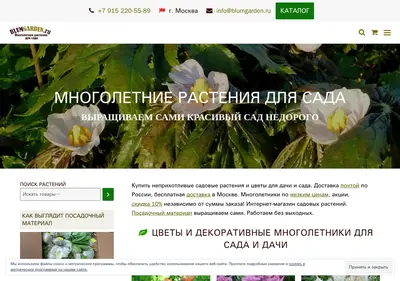 Снимок главной страницы blumgarden.ru