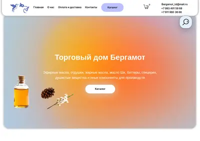 Снимок главной страницы bergamot-td.ru