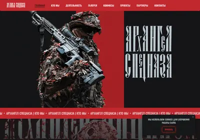 Снимок главной страницы archangelspetsnaza.ru