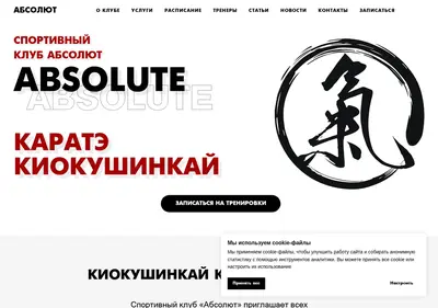 Снимок главной страницы absolute-karate.ru
