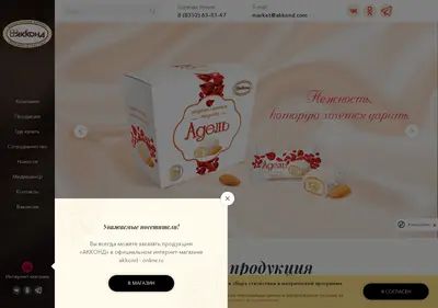 Снимок главной страницы akkond.ru