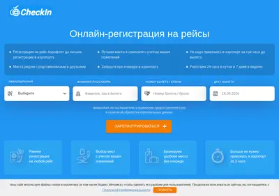 Снимок главной страницы checkin-online.ru