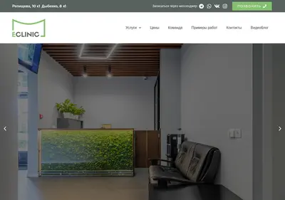 Снимок главной страницы eclinic.su