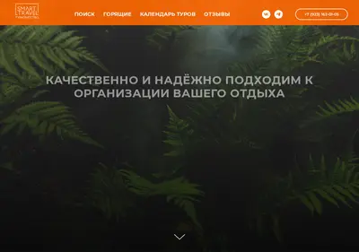 Снимок главной страницы smarttravel.su