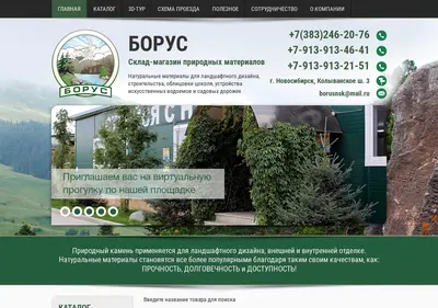 Снимок главной страницы borus-nsk.ru