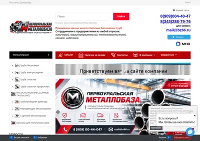 Снимок главной страницы bz66.ru