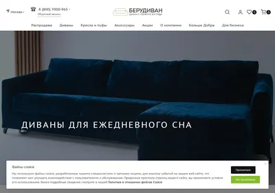 Снимок главной страницы berudivan.ru