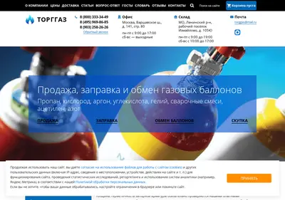 Снимок главной страницы ballonis.ru