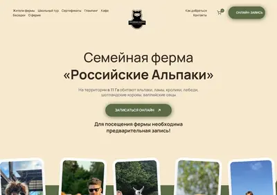 Снимок главной страницы alpacainfo.ru