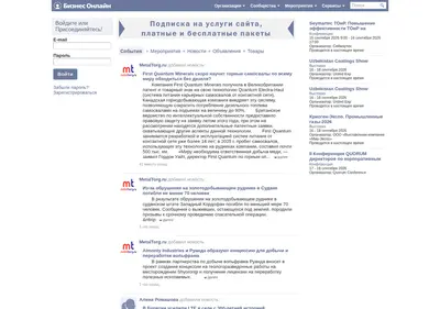 Снимок главной страницы bizon.ru