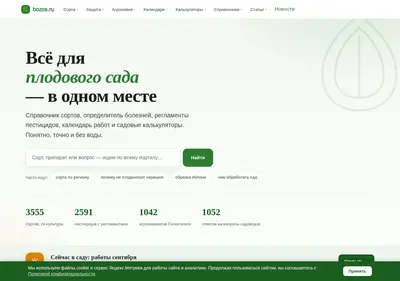 Снимок главной страницы bozos.ru