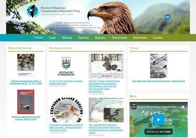 Снимок главной страницы birdsrussia.ru