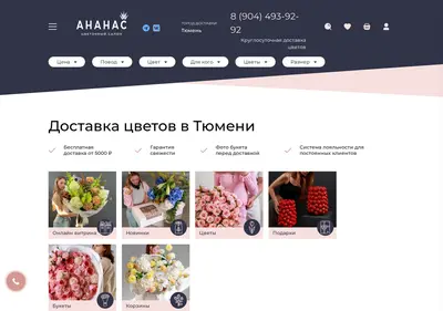 Снимок главной страницы ananas-72.ru