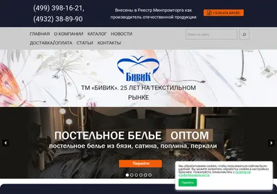 Снимок главной страницы bivik.ru
