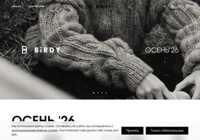 Снимок главной страницы birdystore.ru