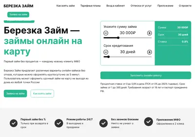 Снимок главной страницы berezka-zajm.ru