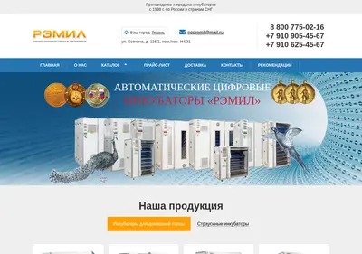 Снимок главной страницы remil.su