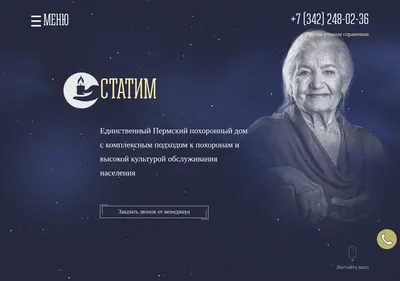 Снимок главной страницы статим.рф