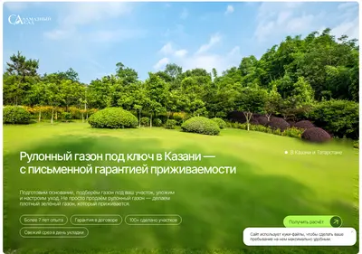 Снимок главной страницы almazsad.ru