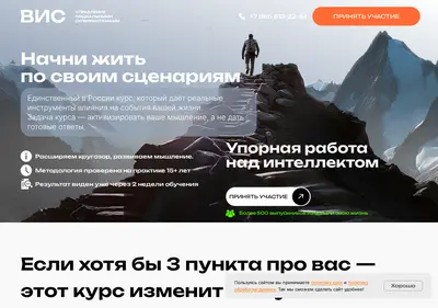 Снимок главной страницы vintel.su