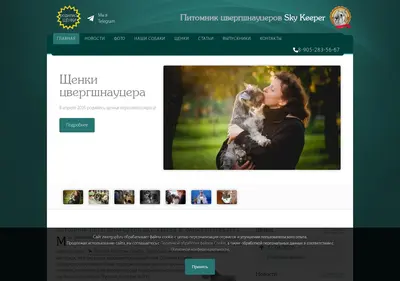 Снимок главной страницы zwerg.spb.ru
