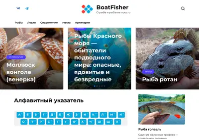 Снимок главной страницы boatfisher.ru